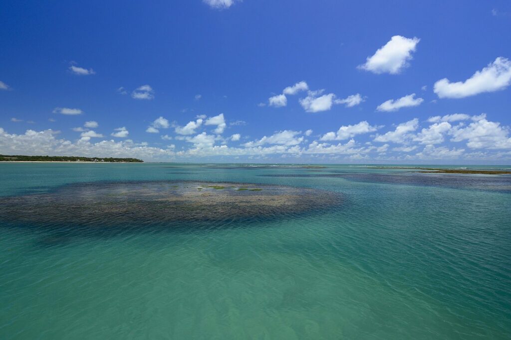 Descubra as incríveis piscinas naturais do Seixas e se encante com a beleza da natureza! 1 Piscinas naturais do Seixas na maré baixa, em João Pessoa (PB)
