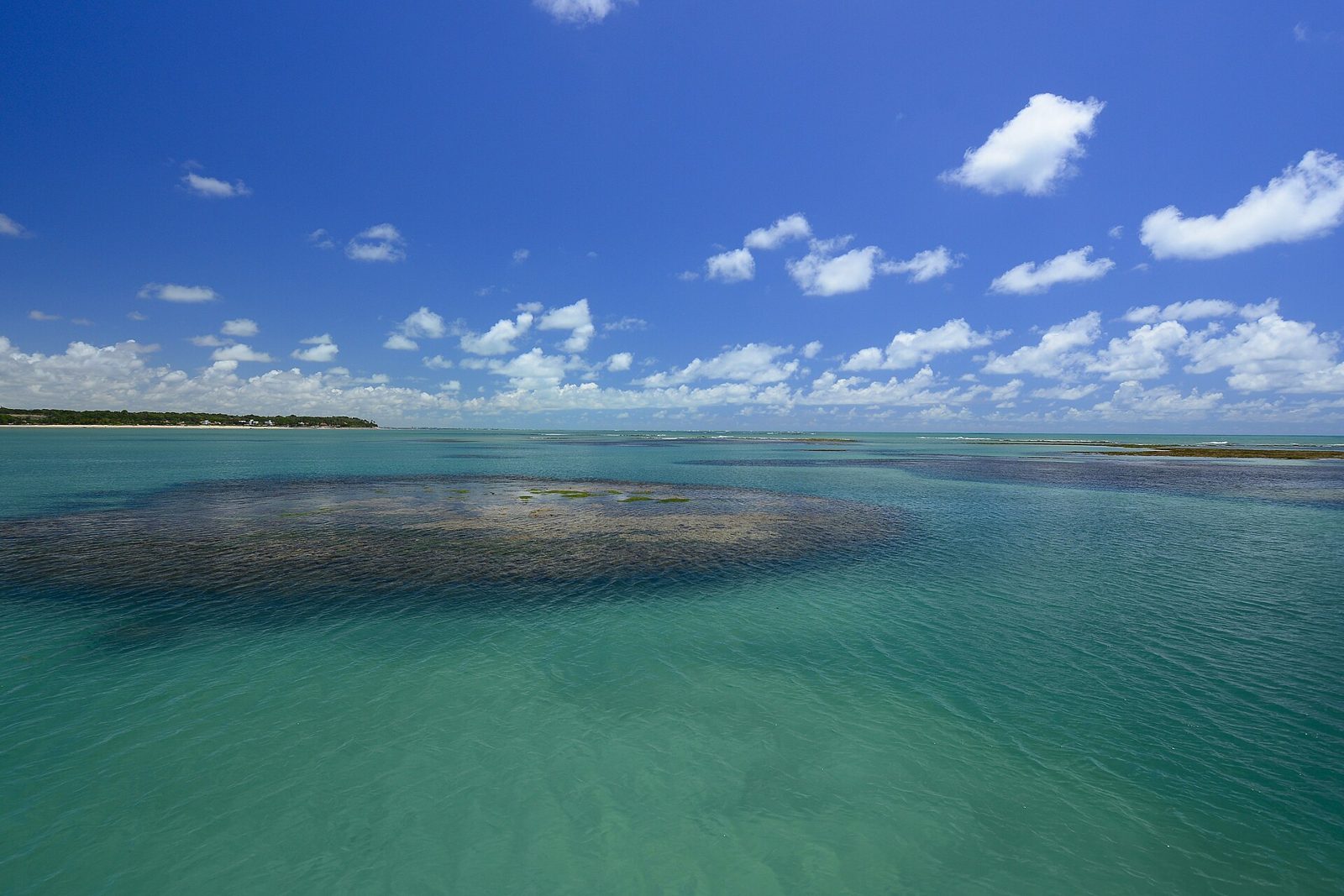 Tábua de marés em João Pessoa: como ler e escolher o dia das piscinas naturais 2 Piscinas naturais do Seixas na maré baixa, em João Pessoa (PB)