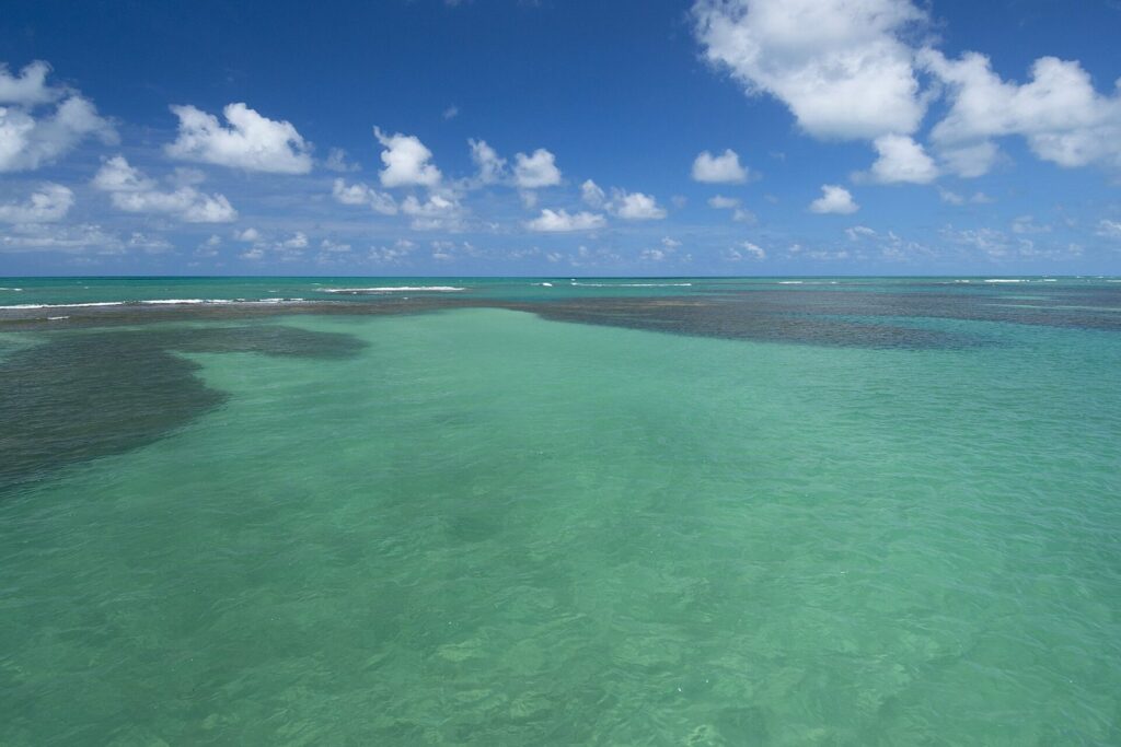 Descubra as incríveis piscinas naturais do Seixas e se encante com a beleza da natureza! 2 Águas claras das piscinas naturais do Seixas