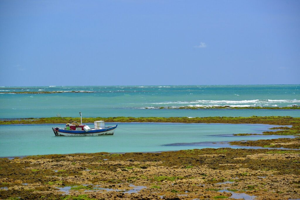 Descubra as incríveis piscinas naturais do Seixas e se encante com a beleza da natureza! 3 Barco nas piscinas naturais do Seixas, em João Pessoa