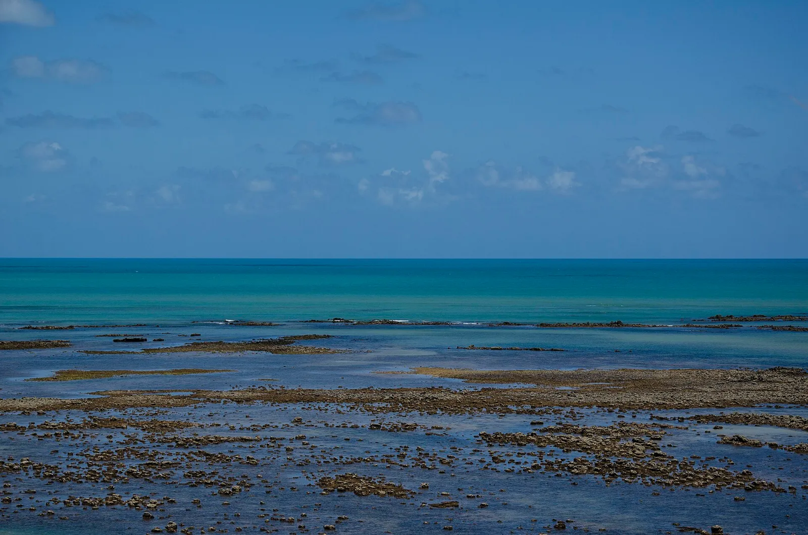 Praia de Cabo Branco com coqueiros, areia clara e mar verde